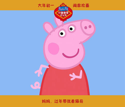买个假的巴基斯坦身份证KYC认证资料
